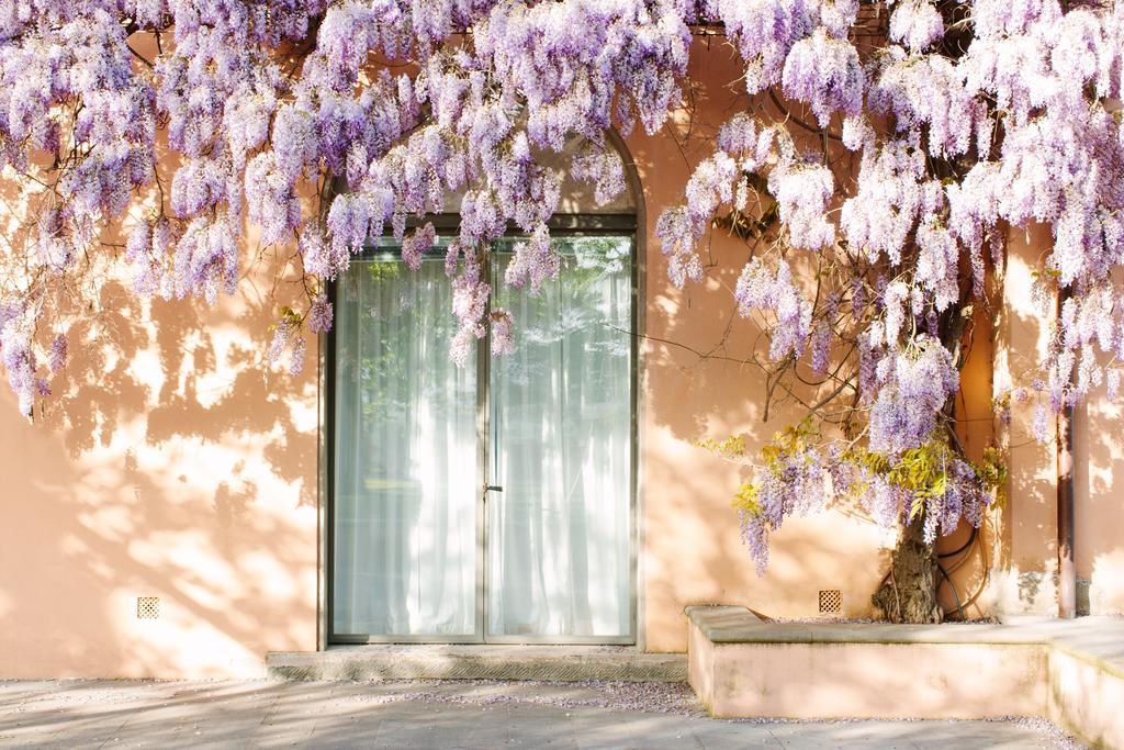 Villa Loggio Winery And Boutique Hotel Cortona Exteriör bild