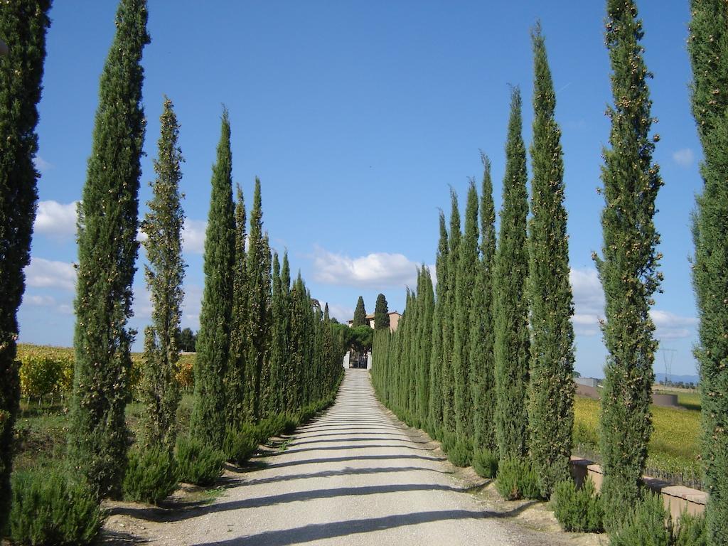 Villa Loggio Winery And Boutique Hotel Cortona Exteriör bild