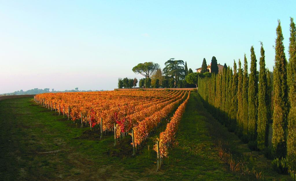 Villa Loggio Winery And Boutique Hotel Cortona Exteriör bild
